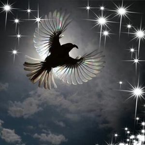 Meet your Posher, Tommy